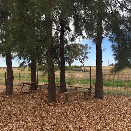 Aussie Cabins Hotel Dubbo Bagian luar foto