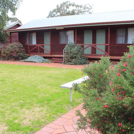 Aussie Cabins Hotel Dubbo Ruang foto