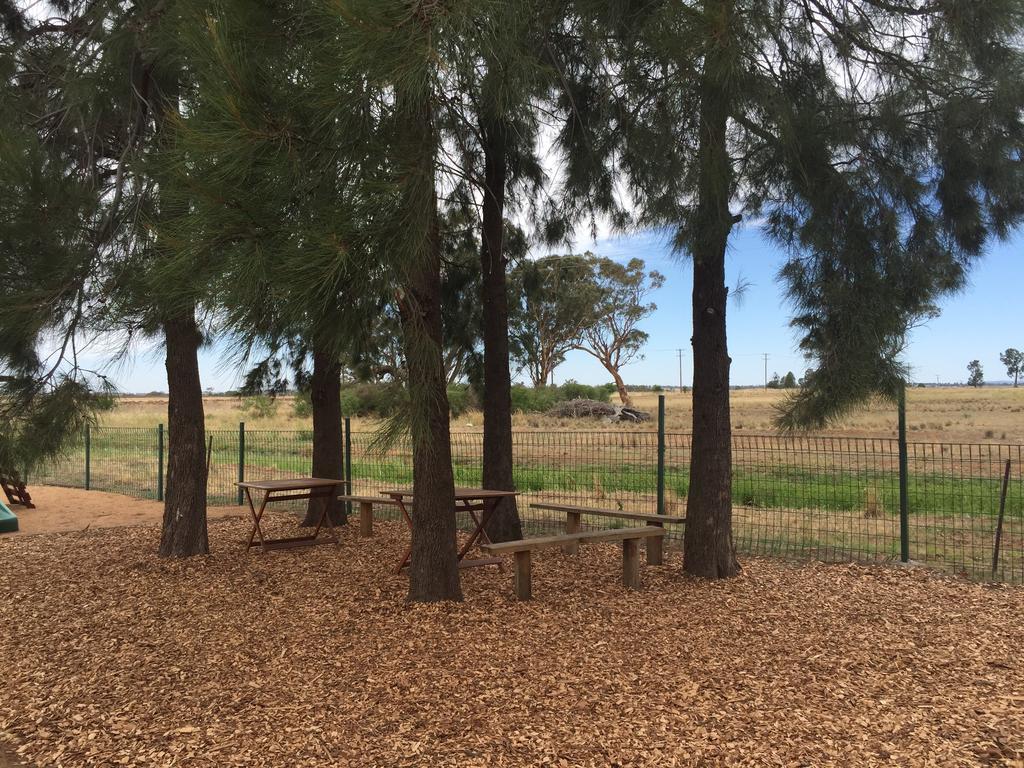 Aussie Cabins Hotel Dubbo Bagian luar foto