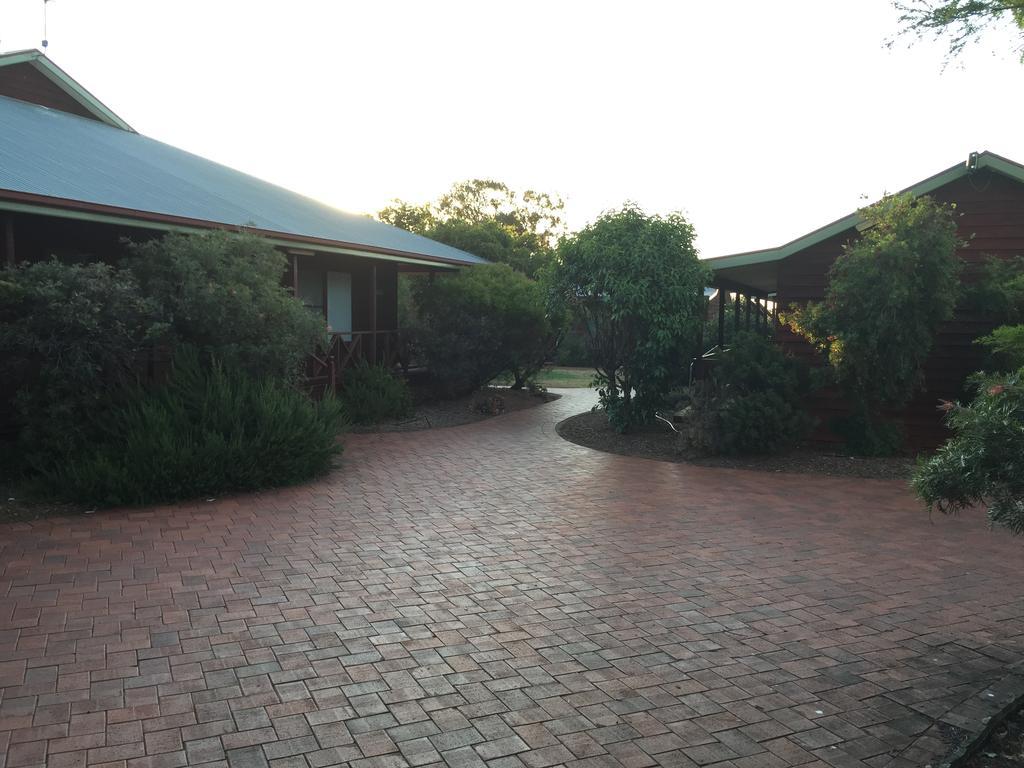 Aussie Cabins Hotel Dubbo Bagian luar foto