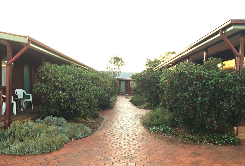 Aussie Cabins Hotel Dubbo Bagian luar foto