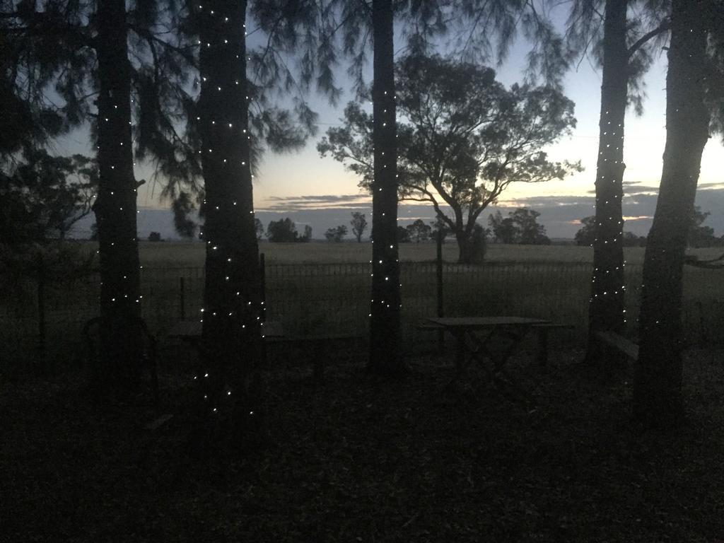 Aussie Cabins Hotel Dubbo Bagian luar foto