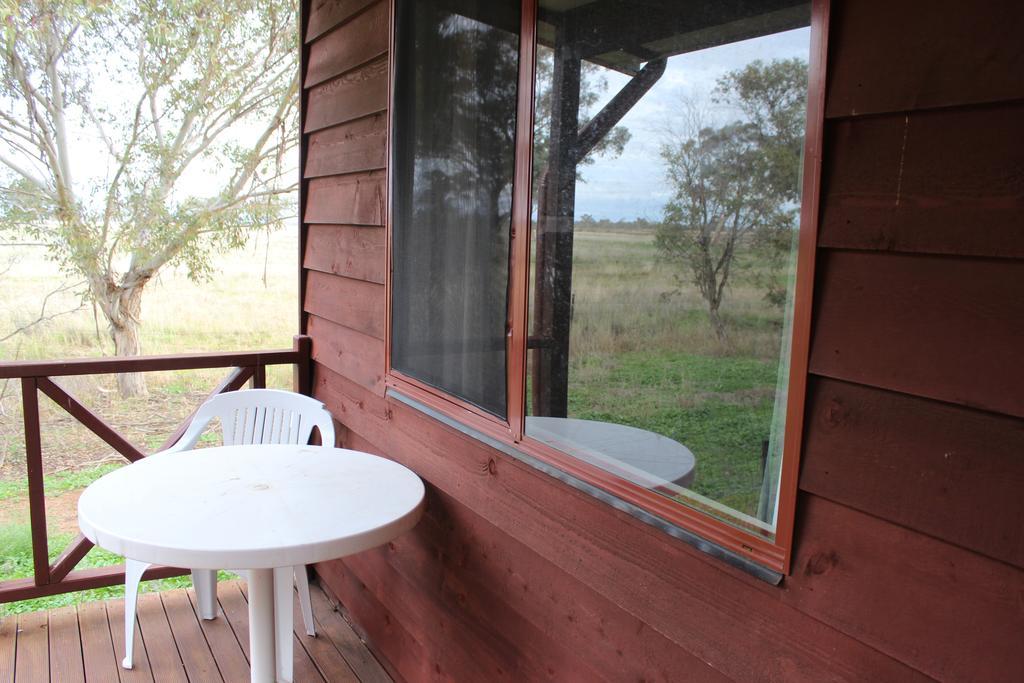 Aussie Cabins Hotel Dubbo Ruang foto